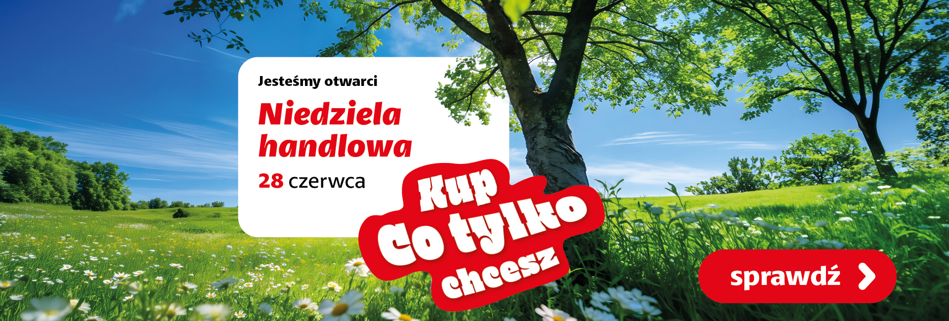 Niedziela handlowa 28.06